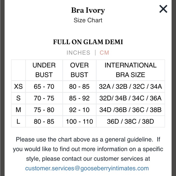 GOOSEBERRY INTIMATES Full On Glam Ivory Lace Bra - Size Medium - Picture 7 of 7